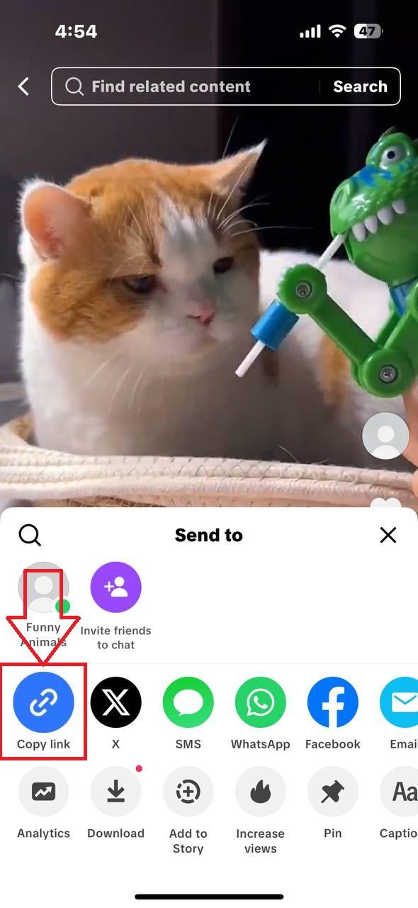 Step 1 TikTok